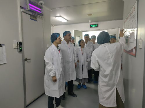 市政協(xié)副主席劉曉佳赴武江區(qū)調(diào)研食品藥品安全監(jiān)督檢測工作與醫(yī)學(xué)研究試驗(yàn)發(fā)展