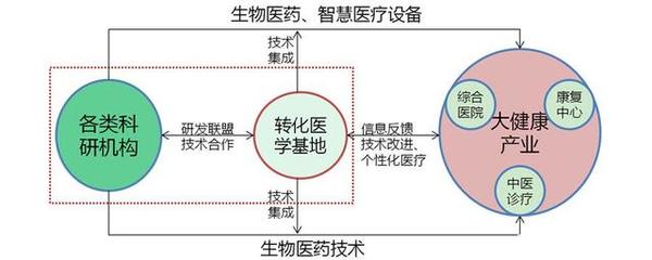 健康科技與醫(yī)養(yǎng)服務(wù)聯(lián)動(dòng) 驅(qū)動(dòng)醫(yī)學(xué)研究與試驗(yàn)發(fā)展的康養(yǎng)產(chǎn)業(yè)新模式